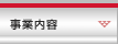 ���Ɠ��e